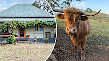 john walsh farm stay nsw