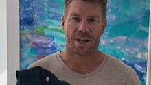 David Warner has announced he's been reunited with his missing baggy green caps.
