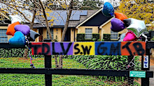 Coloured balloons line the streets in the Wollondilly Shire in remembrance of the teenagers. 