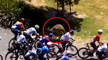 A kangaroo jumps through the pack during the Tour Down Under.