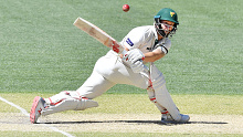 Matthew Wade continues to make runs for Tasmania.