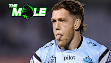Cameron McInnes The Mole bug.