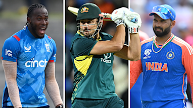 Top 20 IPL earners