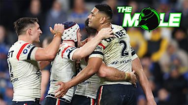 Roosters on the rise