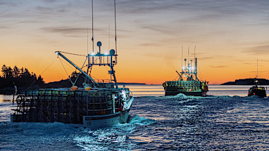 Commercial fishers