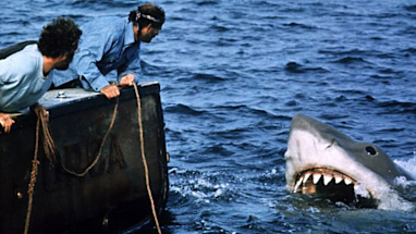 4. Jaws