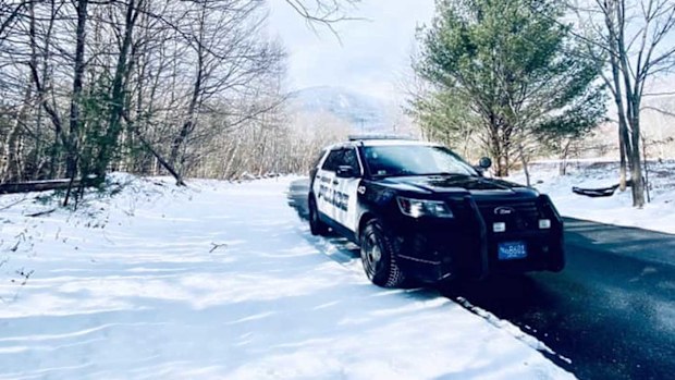 Police in Adams, Massachusetts had to use their service weapons to "neutralise" the animals.