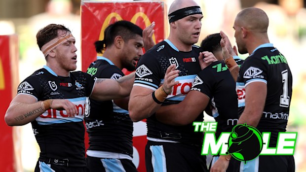 Sharks including Tom Hazleton.