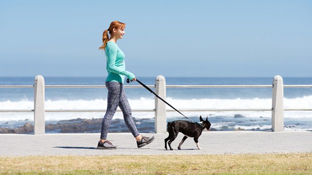 Woman walking dog