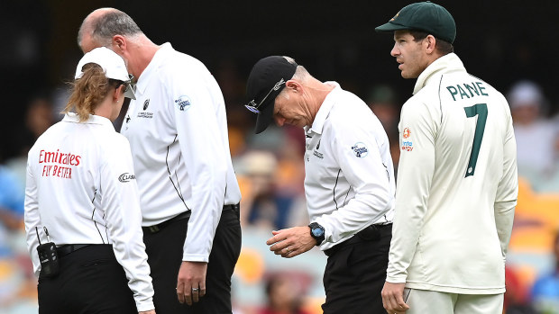 Tim Paine