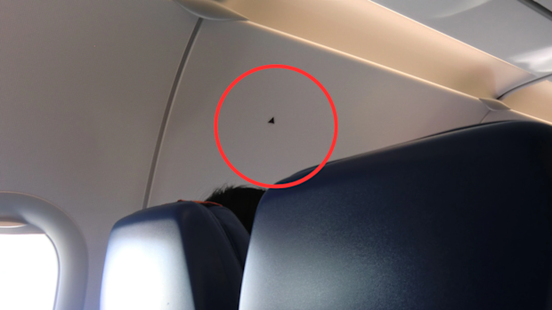 Black triangle on planes