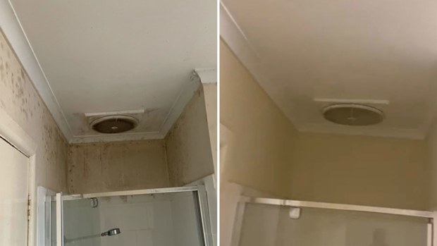 Mouldy shower walls and ceiling cleaned by Michael Williams End of Lease Cleaning Melbourne