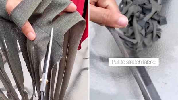 Gardening hacks TikTok