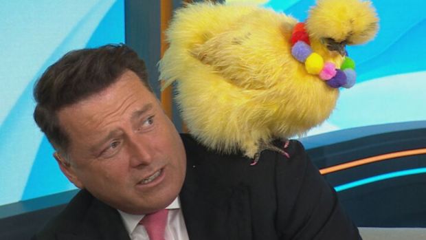 Karl Stefanovic Lemon Chicken Australia's Happiest Pet Today Show November 12, 2024