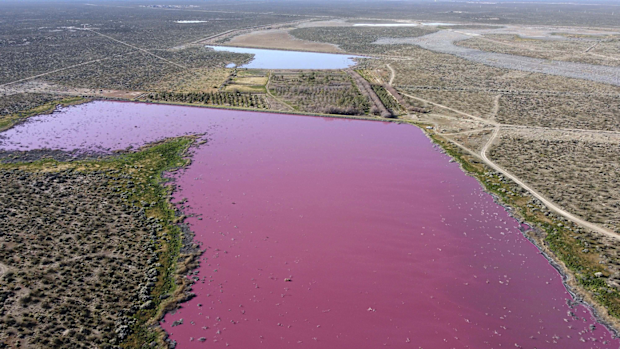 Aerial view of Corfo lagoon that has turned a striking shade of pink as a result of what local environmentalists are attributing to increased pollution from a nearby industrial park, in Trelew, Chubut province, Argentina