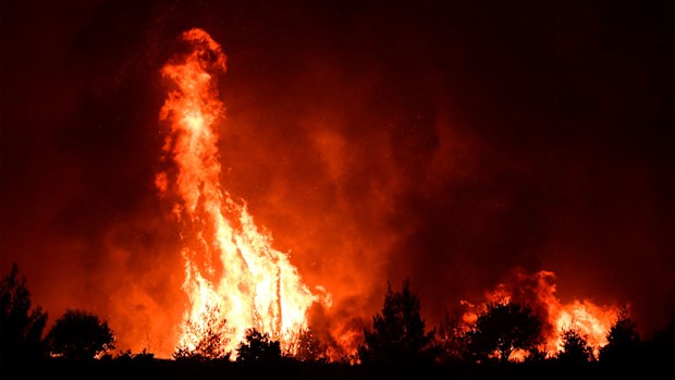 Flames burn a forest near Galatsona village on Evia island north of Athens in Greece.