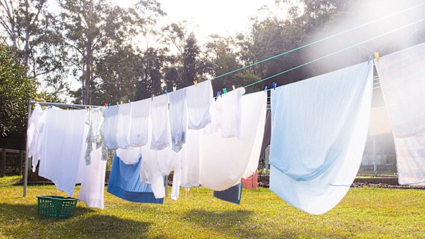 Washing line, laundry