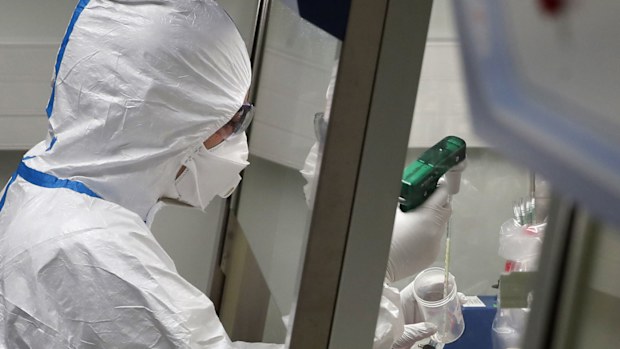 Scientists around the world are working to better understand the coronavirus COVID-19.