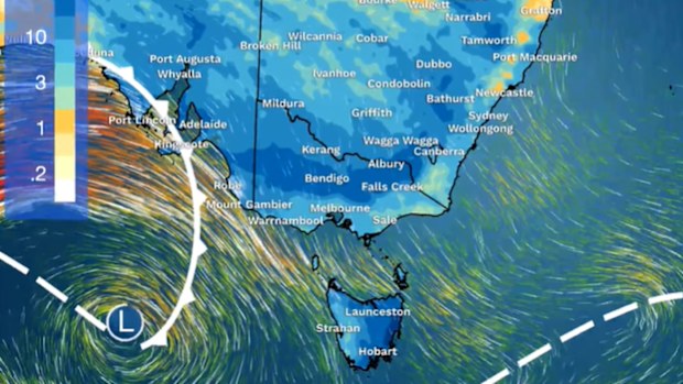 Adelaide is currently in the midst of its wettest year in four decades