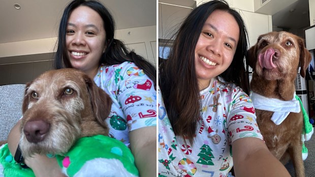Kmart Matching Christmas pyjamas Australia: The $12 Kmart buy that'll ...