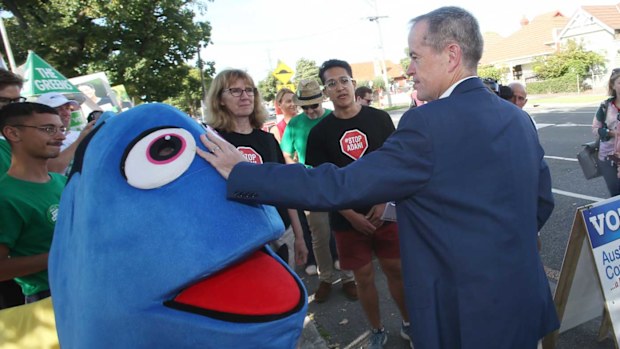 Bill Shorten pats a fish. (AAP)