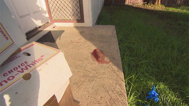 stabbing mt druitt