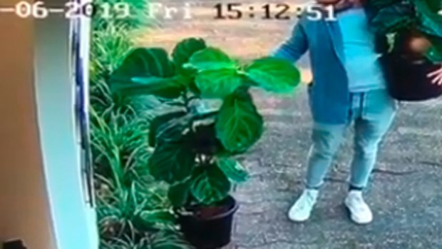 Runaway plants.