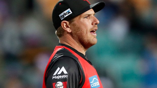 Aaron Finch Melbourne Renegades