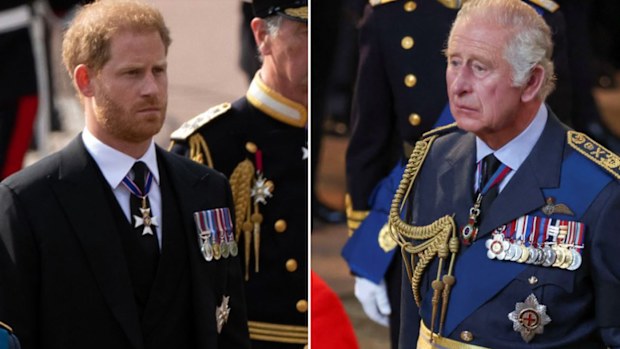 Prince Harry King Charles III British Royals