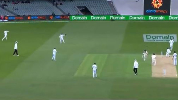 David Warner brings up his 50 against Pakistan.