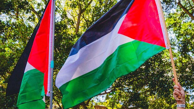 Protesters gather for a pro Palestine rally at Hyde Park, Sydney.