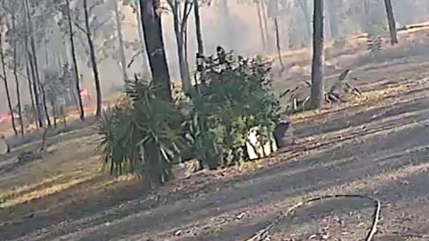 Bushfire destroys homes Tara, 300km west of Brisbane, in Queensland.