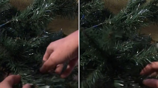 Woman shares clever hack for styling your Christmas tree