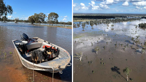 'Wiralla' in Nyngan has been surrounded by floodwater since Friday. 