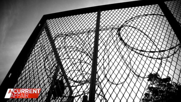 Thomas Hofer has been released on parole again.