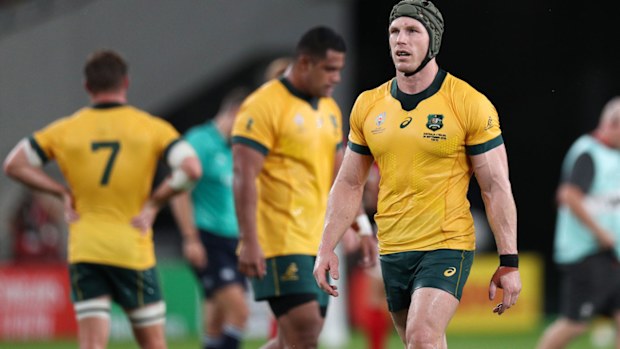 Wallabies fall to Wales