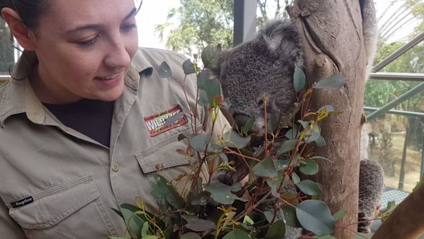 This woman has the job every kid dreams of