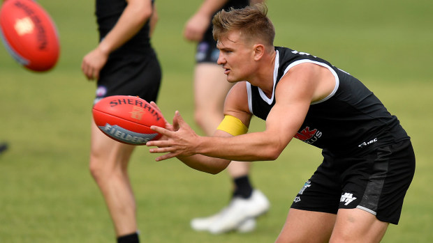 Ollie Wines