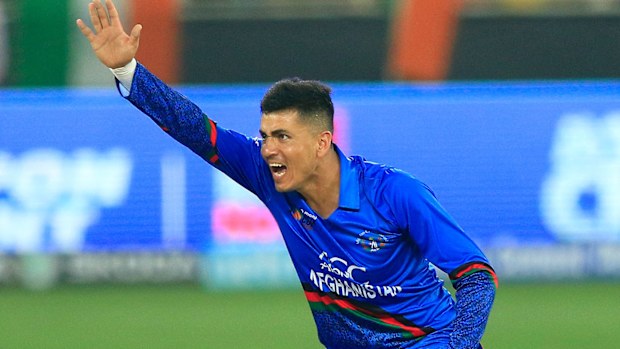 Mujeeb Ur Rahman will play for the Brisbane Heat.