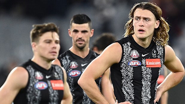 Darcy Moore, Collingwood Magpies