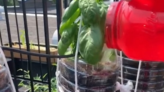 Gardening hacks
