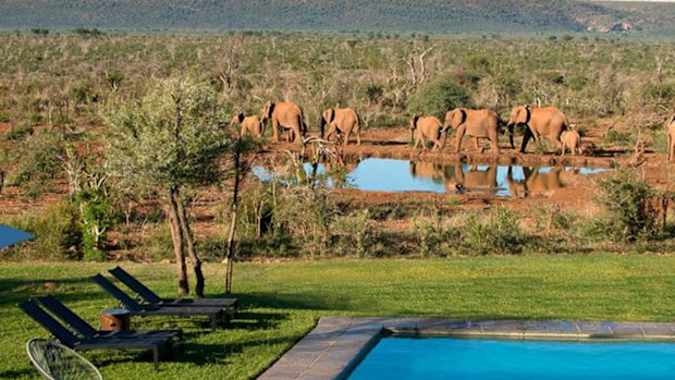 Madikwe Safari Lodge