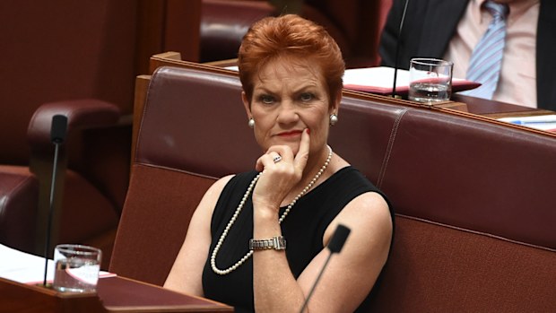One Nation Senator Pauline Hanson. (AAP)