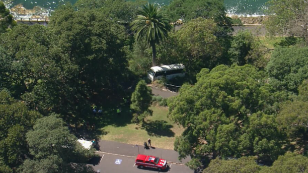 Minibus crash