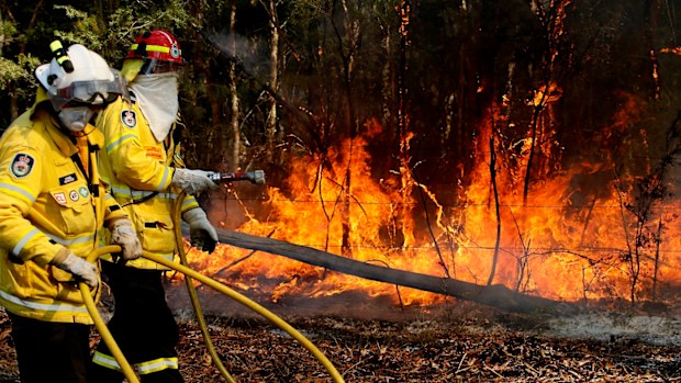 Almost 1200 firefighters are tackling large bushfires on the NSW mid-north coast among scores of blazes around the state. (AAP Image/Darren Pateman) 