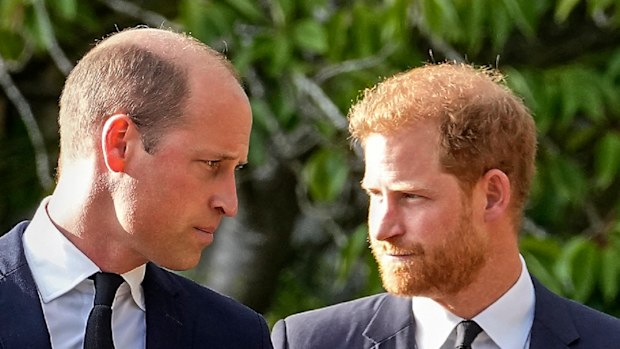 Prince William and Prince Charles