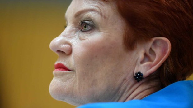 Pauline Hanson. (AAP)