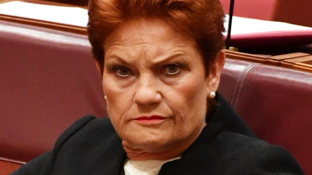 Pauline Hanson. (AAP)