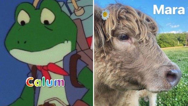 The 2020 internet meme explained.