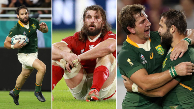 Cobus Reinach of South Africa was in top form for the Springboks in their thrashing of Canada
